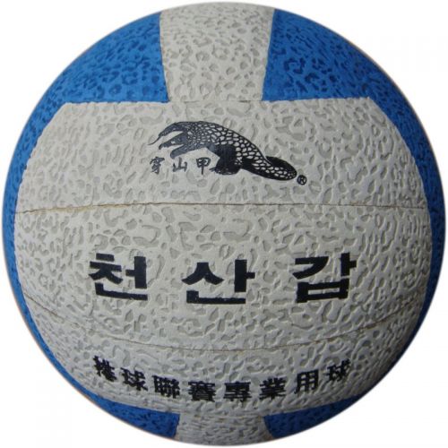 Ballon de volley-ball - Ref 2016506