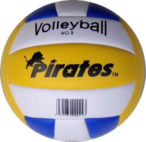 Ballon de volley-ball - Ref 2016508