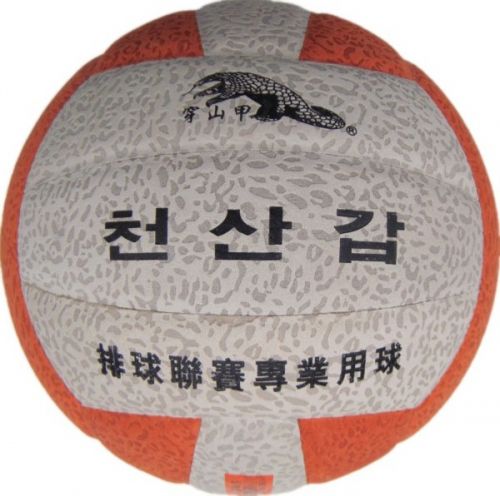 Ballon de volley-ball - Ref 2016509