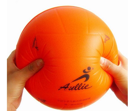 Ballon de volley-ball - Ref 2016512