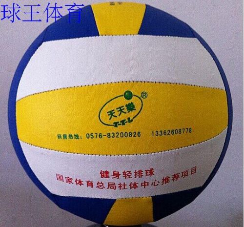 Ballon de volley-ball - Ref 2016518
