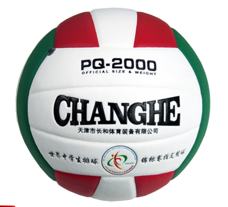 Ballon de volley-ball - Ref 2016540