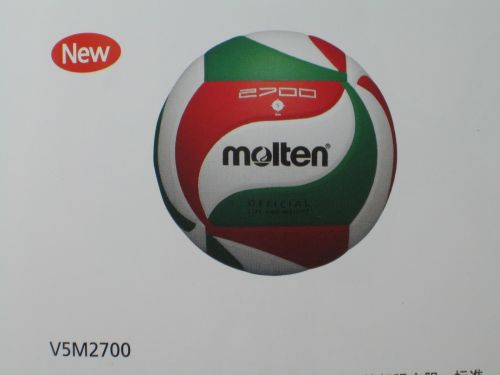 Ballon de volley-ball MOLTEN - Ref 2016571