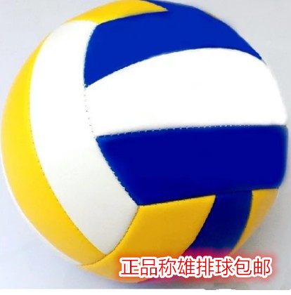 Ballon de volley-ball - Ref 2016589