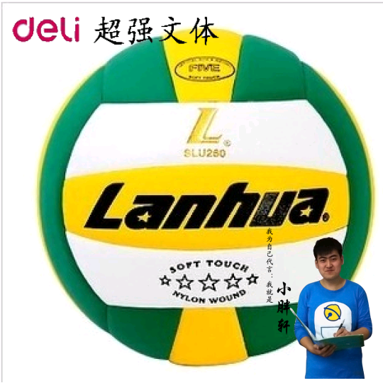 Ballon de volley-ball - Ref 2016611