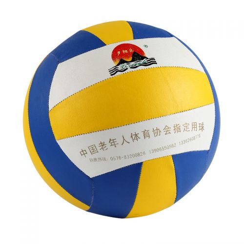 Ballon de volley-ball - Ref 2016631