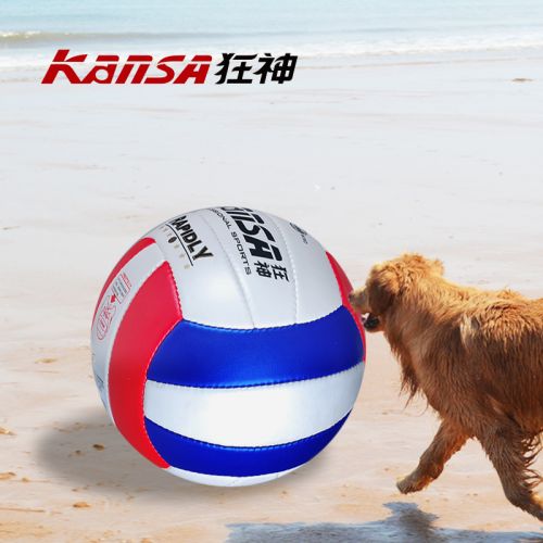 Ballon de volley-ball - Ref 2016709