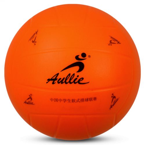 Ballon de volley - Ref 2007985