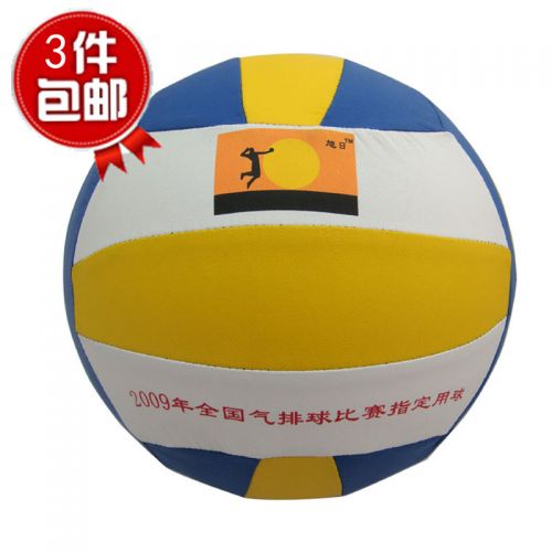 Ballon de volley 2008015