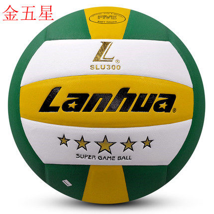 Ballon de volley 2008016