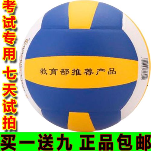 Ballon de volley - Ref 2008018