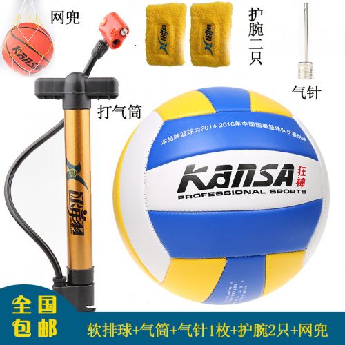Ballon de volley - Ref 2008027