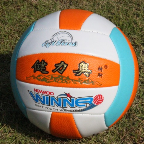 Ballon de volley - Ref 2008045