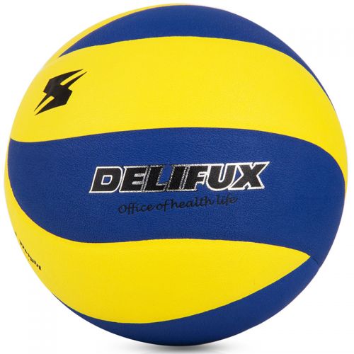 Ballon de volley 2008060