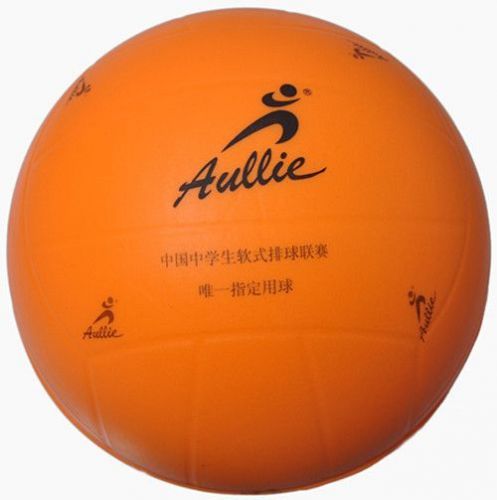 Ballon de volley 2008066