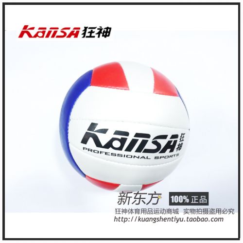 Ballon de volley 2008073