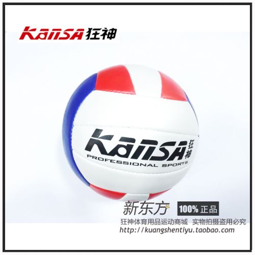 Ballon de volley - Ref 2008073