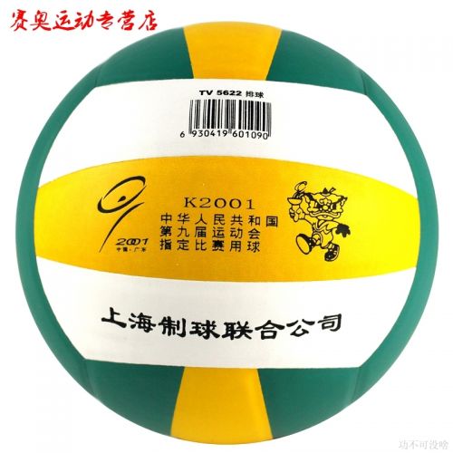 Ballon de volley TRAIN - Ref 2008074