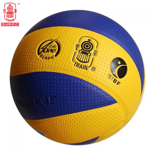 Ballon de volley 2008078