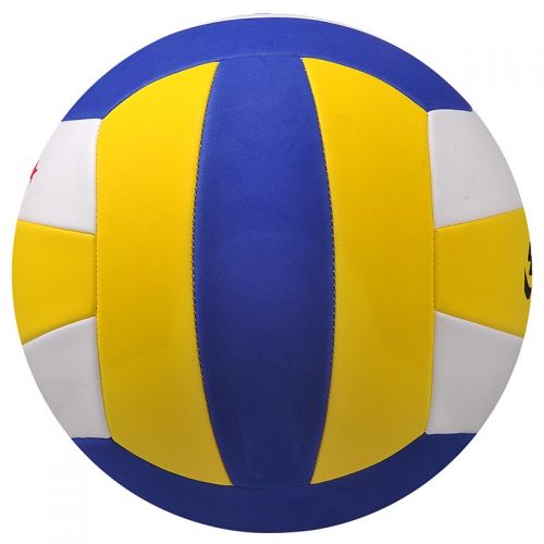 Ballon de volley 2008079