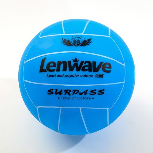 Ballon de volley - Ref 2008084