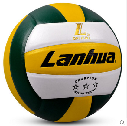 Ballon de volley - Ref 2008088