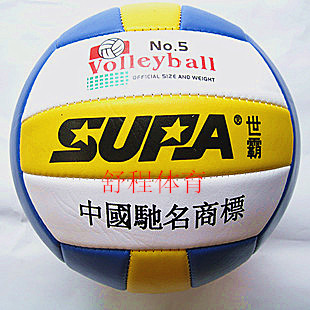 Ballon de volley 2008090