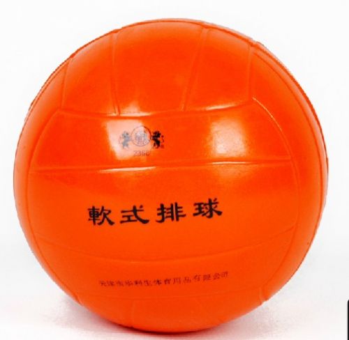 Ballon de volley - Ref 2008092