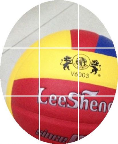 Ballon de volley 2008097