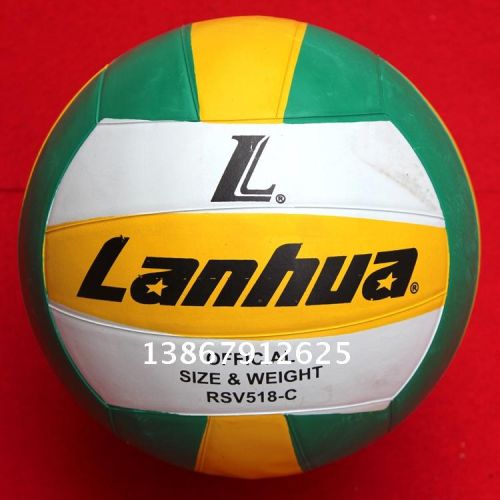 Ballon de volley 2008098