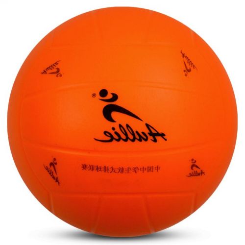 Ballon de volley 2008114