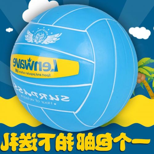 Ballon de volley 2008124