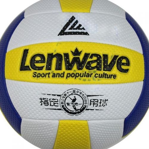 Ballon de volley 2008127