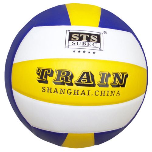 Ballon de volley 2008145