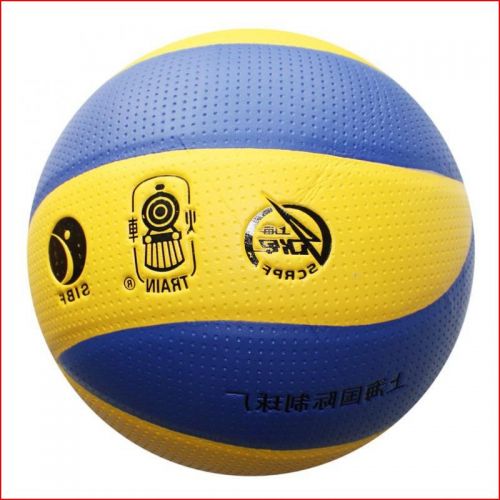 Ballon de volley 2008154