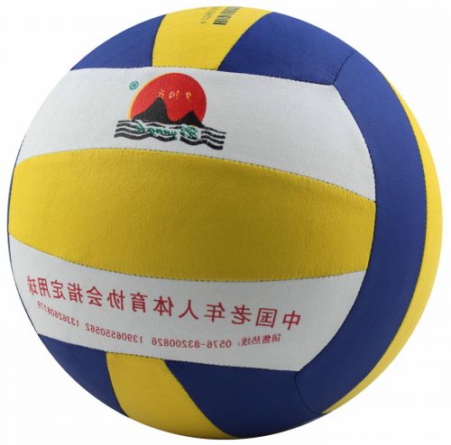 Ballon de volley 2008160