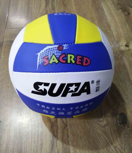 Ballon de volley 2008185