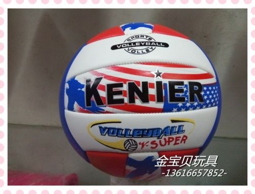 Ballon de volley 2008205