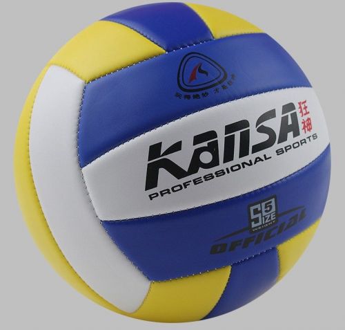 Ballon de volley - Ref 2008209