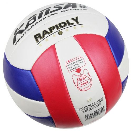 Ballon de volley 2008219