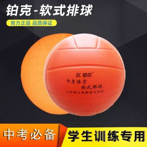 Ballon de volley 2008225
