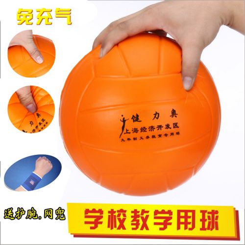 Ballon de volley - Ref 2008234