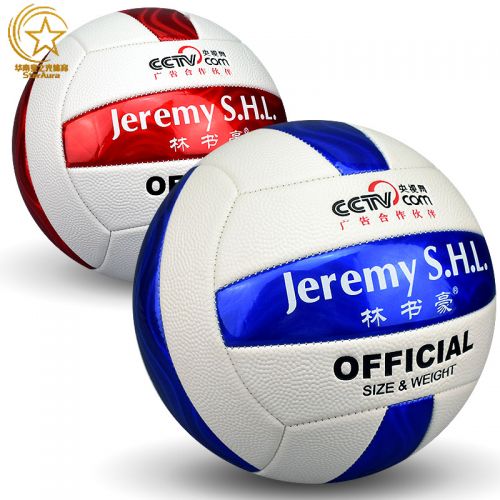 Ballon de volley - Ref 2008235