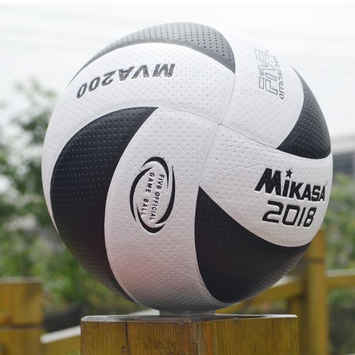 Ballon de volley 2008251