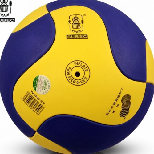 Ballon de volley TRAIN - Ref 2008272