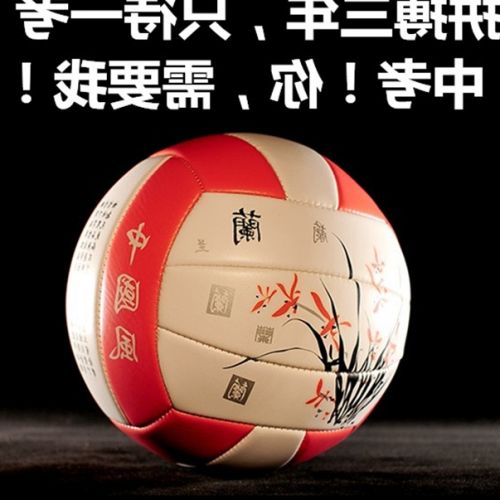 Ballon de volley - Ref 2008274