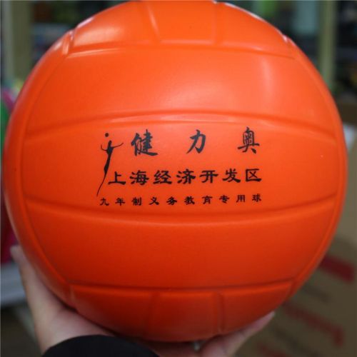 Ballon de volley - Ref 2008294