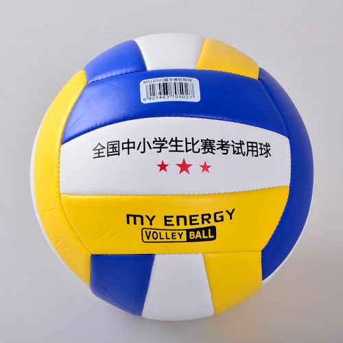 Ballon de volley - Ref 2008425