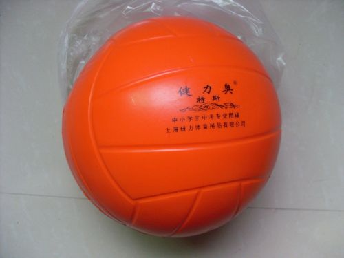 Ballon de volley - Ref 2008440