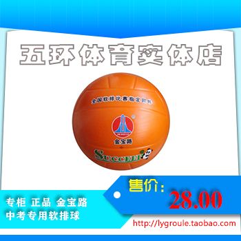 Ballon de volley - Ref 2008458